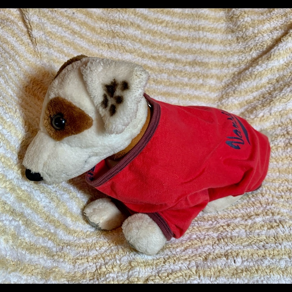 Doggy Tee- shirt.  Let your furry buddy be, Varsity too!
